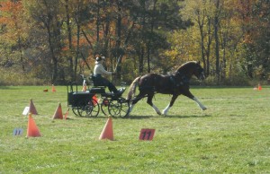 10-TSF-Fall-Festival-of-Driving Elizabeth Francis
