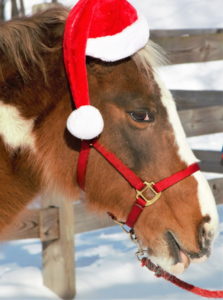 gsnap-rockin-santa-home-page-vert7