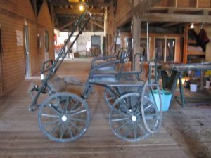 Carriage