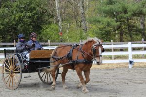 img_0916