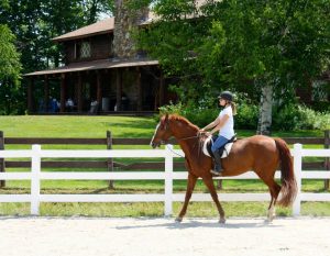 horseriding ring penrose