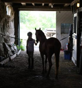 downstairs aisle horse boarding