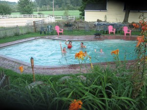 pool fun swimming pool