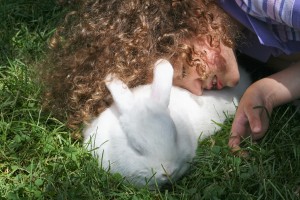 white bunny