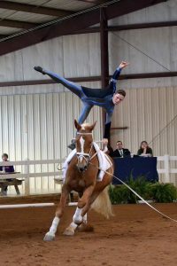 Boy Vaulting
