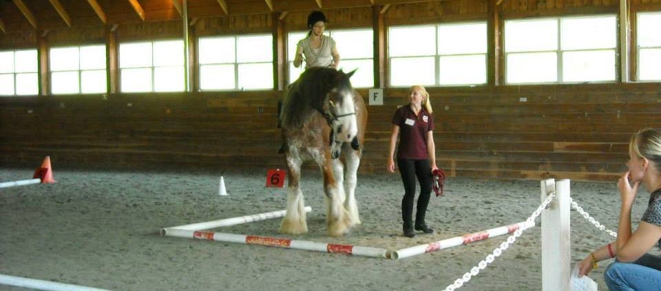 large indoor riding arena