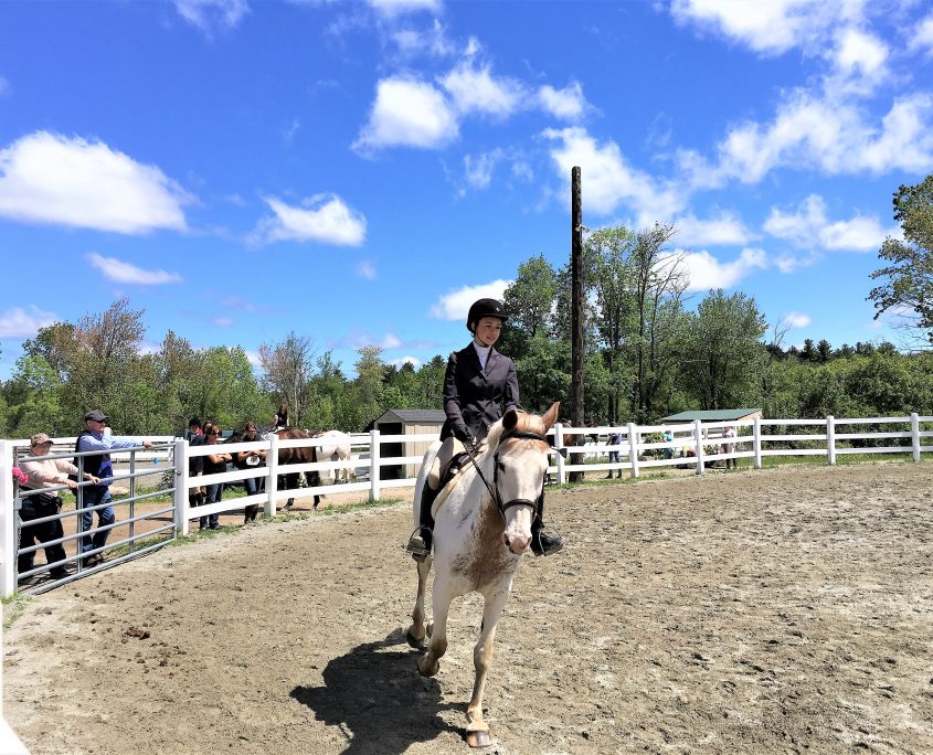 Touchstone | Horse Shows Touchstone | Horse Shows