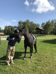 vet-kissing-horse