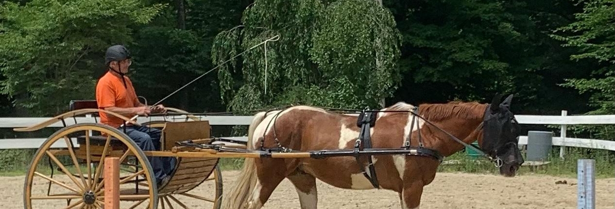 horse pulling care with one passenger driving