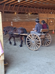 veteran carriage driving